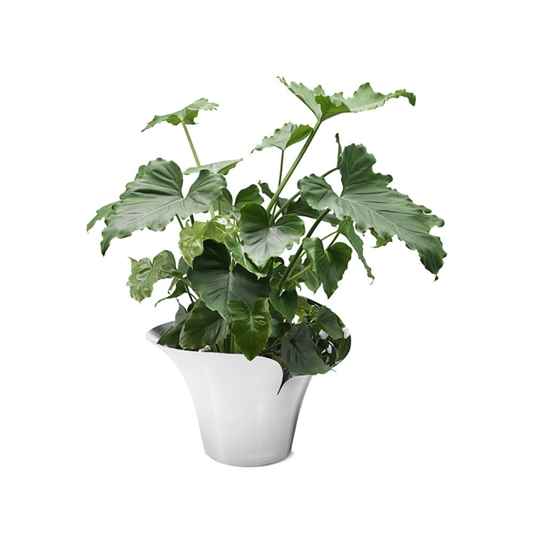 Bloom Botanica flowerpot til store planter i hjemmet